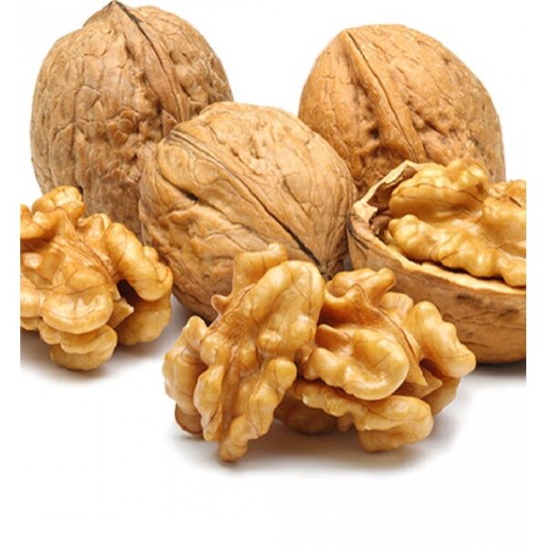 WALNUT
